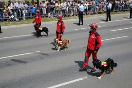 Fédération Nationale des Pompiers